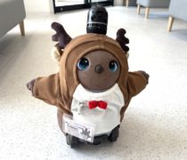 協会病院前店（帯広市）の「LOVOT」の名前が決まりました！